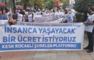 Yürüyüş Kollarımız Kocaeli ve Adana’da…